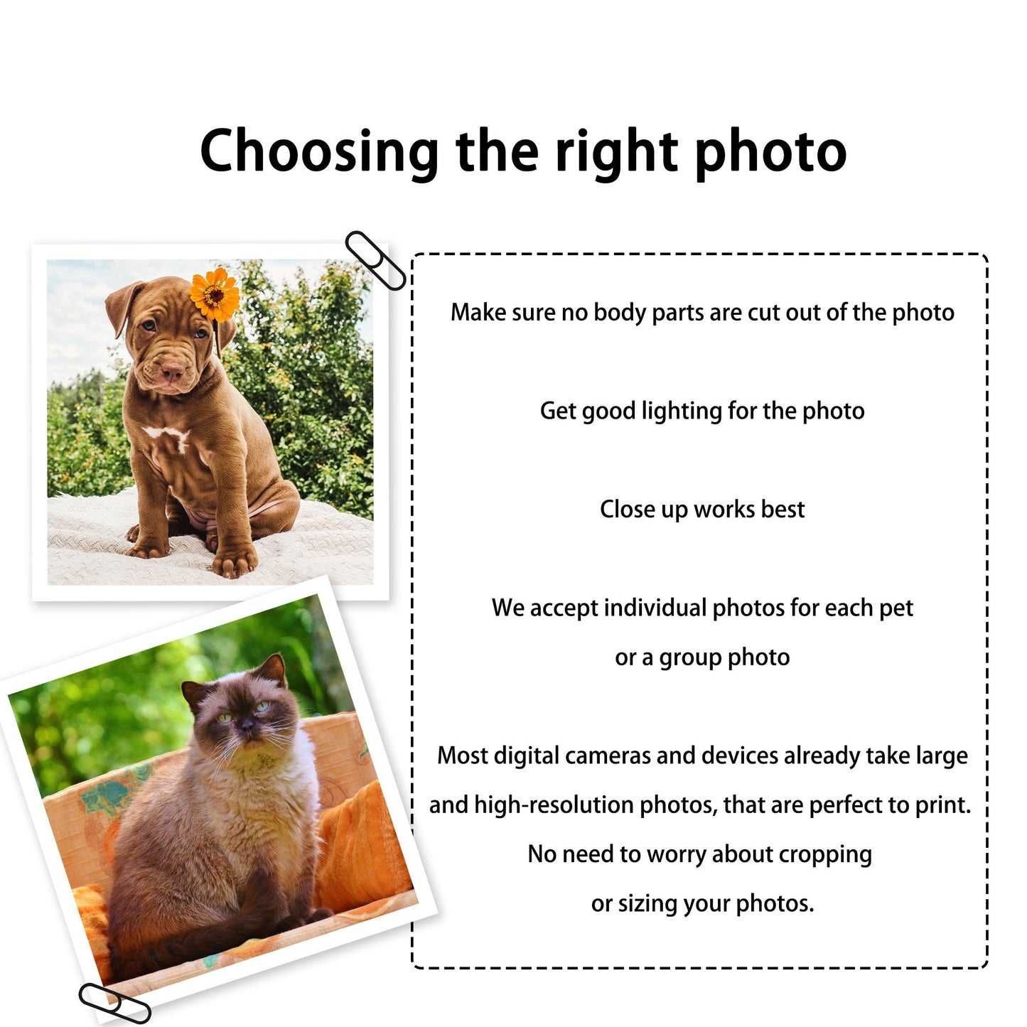 Custom Pet dog cat face iPhone phone case